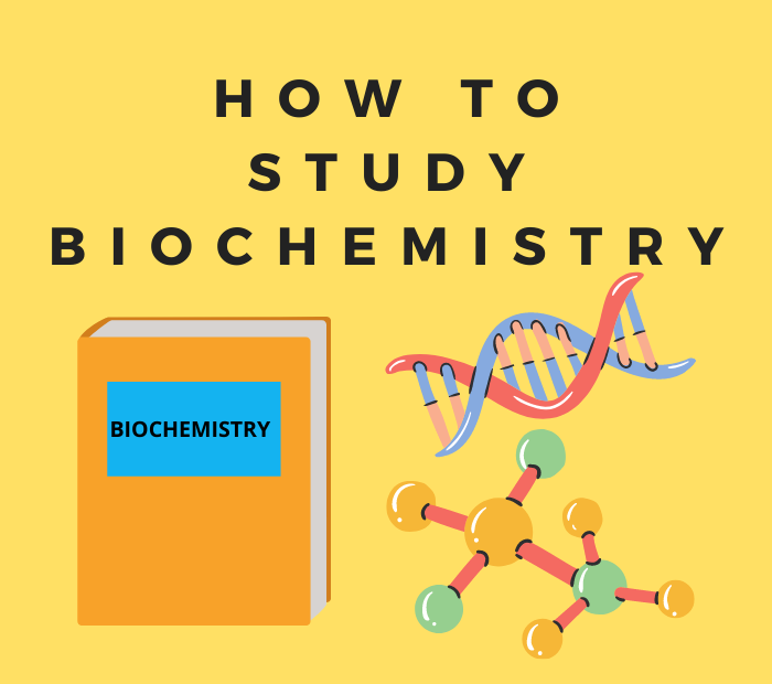 6 Effective Tips To Study Biochemistry In MBBS – Medicoholic