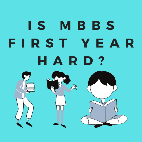 A travers nos 5 villages visual data 2