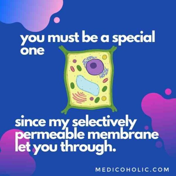 50+ Best Medical Pick-Up Lines [Cheesy and Funny] – medicoholic